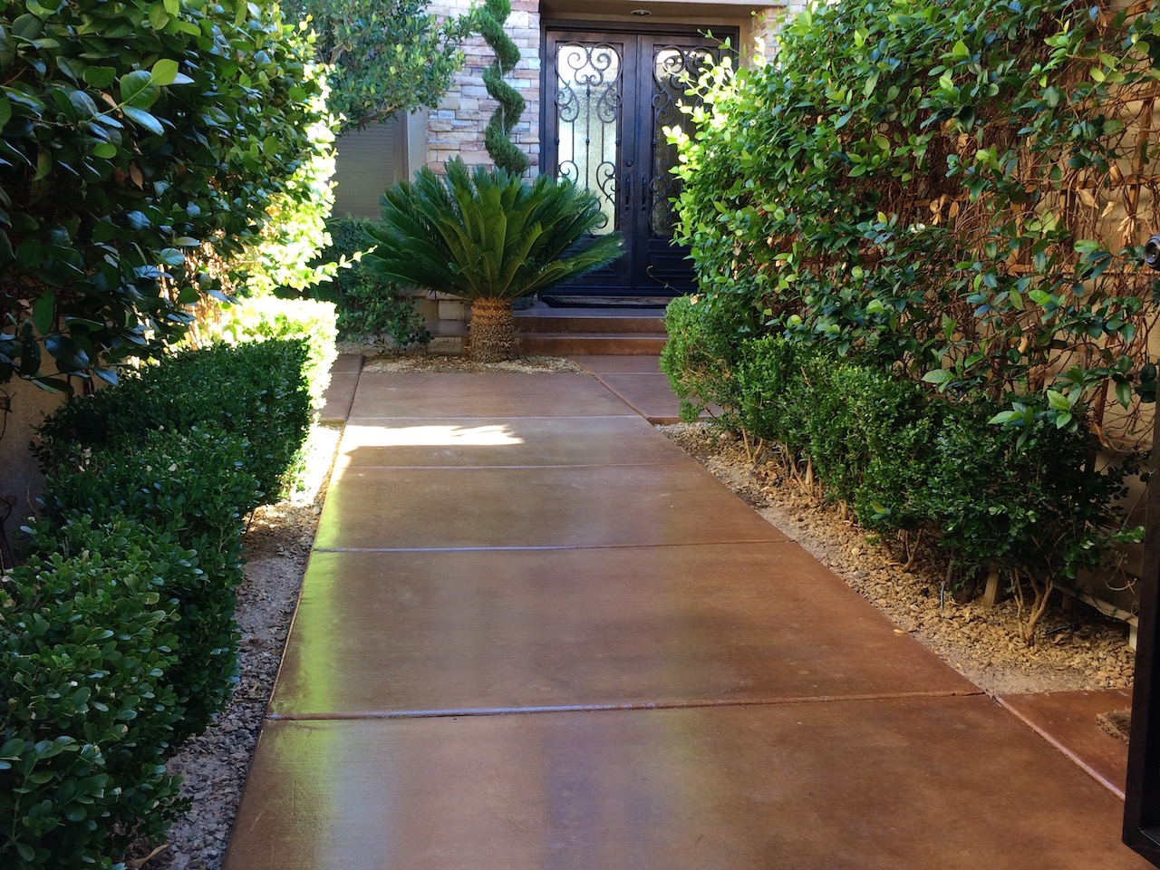 Stained Concrete Walkway-3